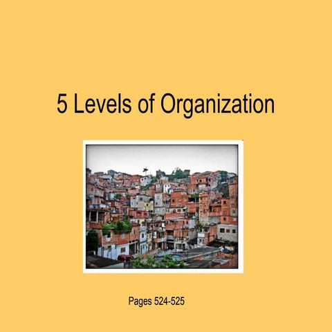 5 levels-of-organization