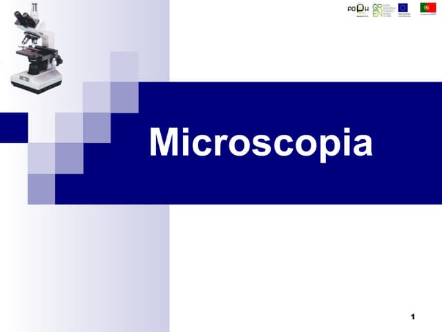 5   microscópio