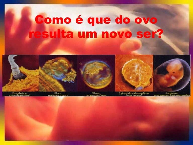 5. nidação, embrião e feto 5. nidação, embrião e feto