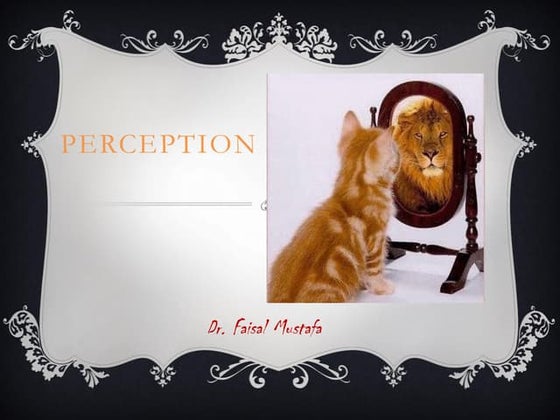 03 perception | PPTX