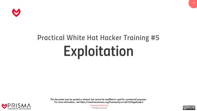 Practical White Hat Hacker Training - Exploitation