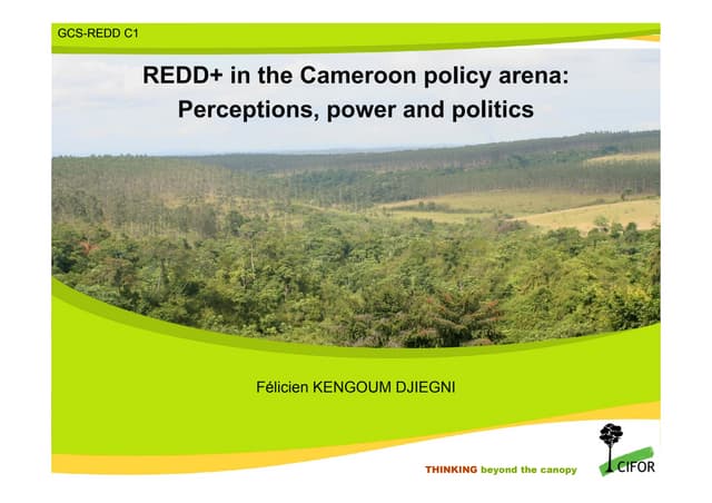 REDD+ in the Cameroon policy arena: Perceptions, power and politics