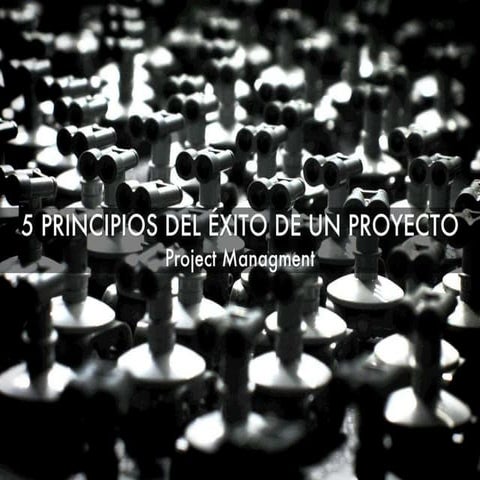 5 principios del éxito de un proyecto