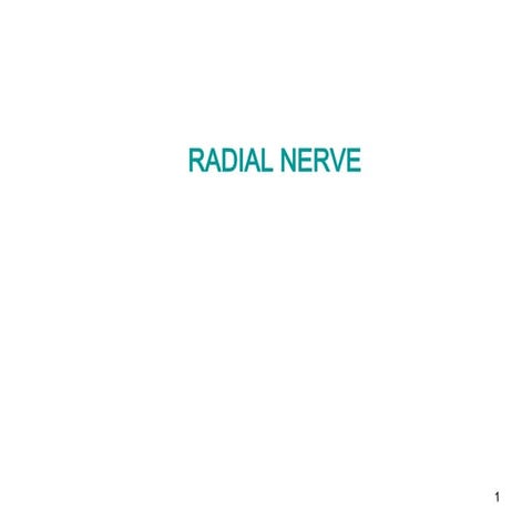 5-radial Nerve.pptddfffttrrrrreerrrrgghfrg