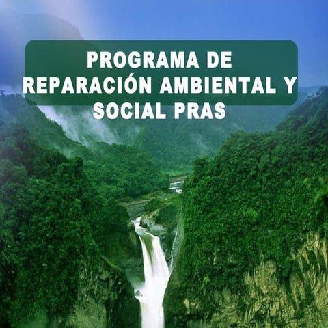 Enlace Ciudadano Nro. 256 - Programa reparación ambiental y social ...
