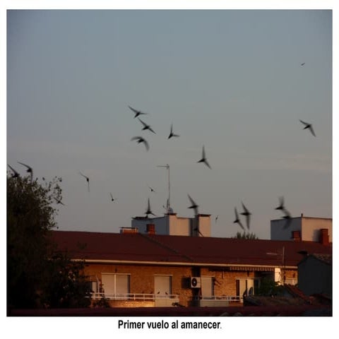 5  ruta 5 -por carrera de tenerías a valluengo y barrachina