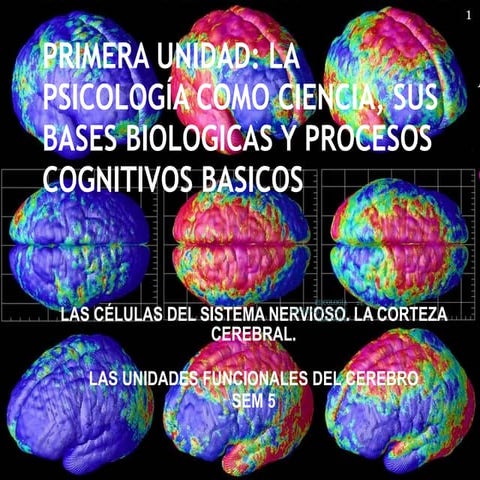 Sistema nervioso y endocrino | PPT