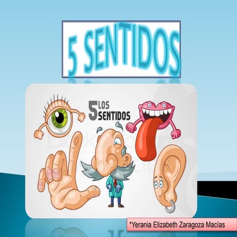 5 sentidos del ser humano