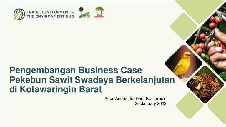 thumbnail of  Pengembangan Business Case Pekebun Sawit Swadaya Berkelanjutan di Kotawaringin Barat