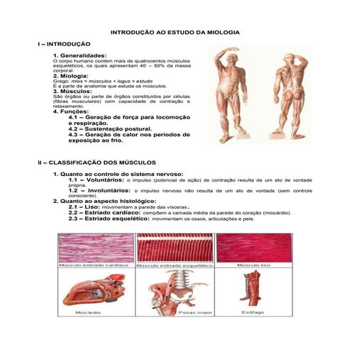 5.sistema muscular