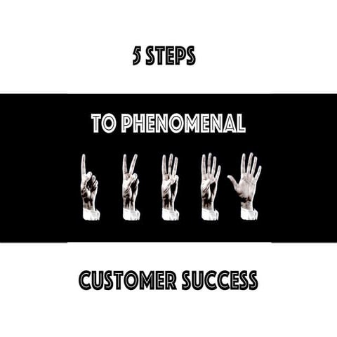5 Steps to Phenomenal Customer Success