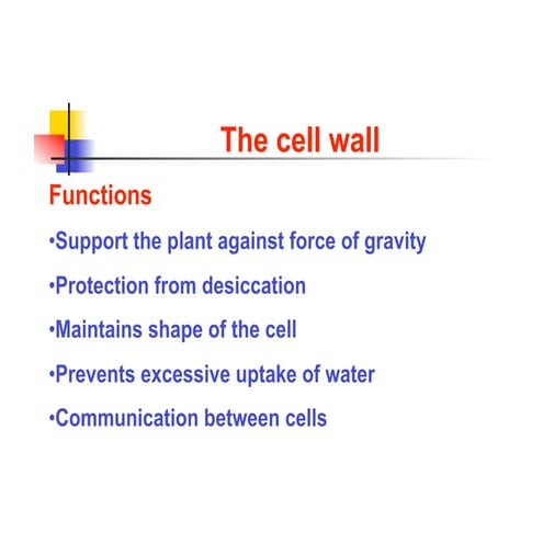 Cell wall | structure composition and Functions | PPTX