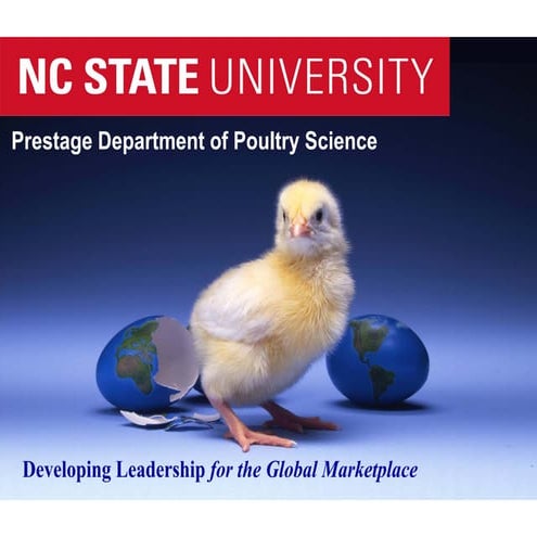 The role of intestinal health in broiler production - e. o. oviedo at DSM Eur...