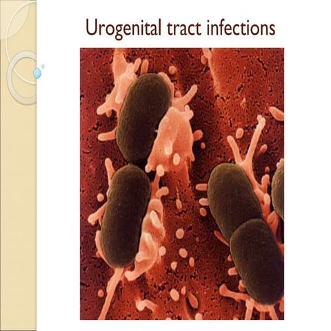 5-Urology- Uti.pptx