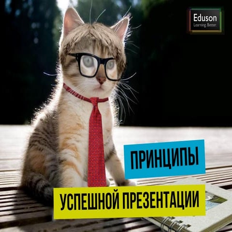 Принципы успешной презентации