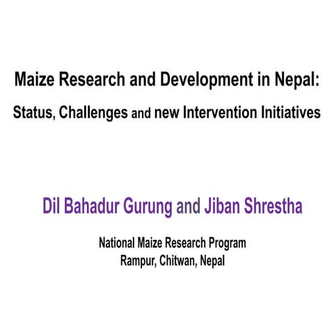 Maize Research and Development in Nepal:  Status, Challenges and new Interven...