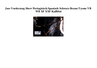 BIG PROMO Jose Vorderzeug Show Portugisisch Spanisch Schwarz Braun Tysons VB WB XF XXF Kalfblut 