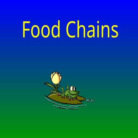 Food Chain and Food Web in the world.ppt