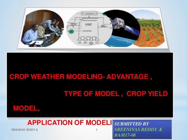Crop Modeling Types Of Crop Growth Models In Agriculture