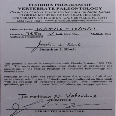 Florida Program of Vertebrate paleontology | PDF