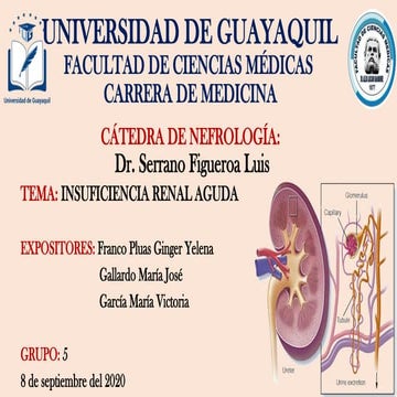 503492519-INSUFICIENCIA-RENAL-AGUDA.pptx