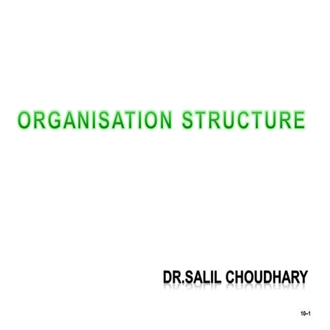 Organisation Structure