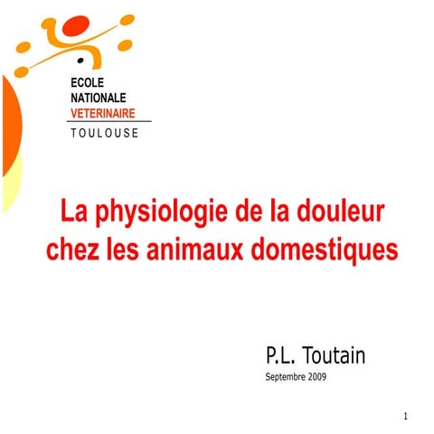 physio de la douleur