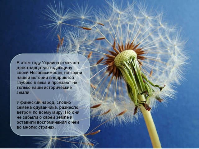 Independence_Day_2010_ru | PPT