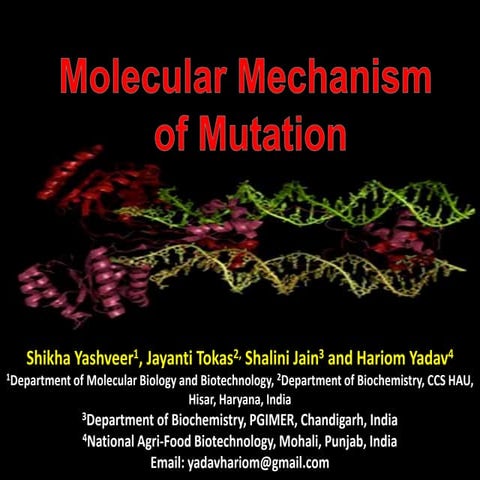 Molecular Mechanisms of Mutation PowerPoint Presenation