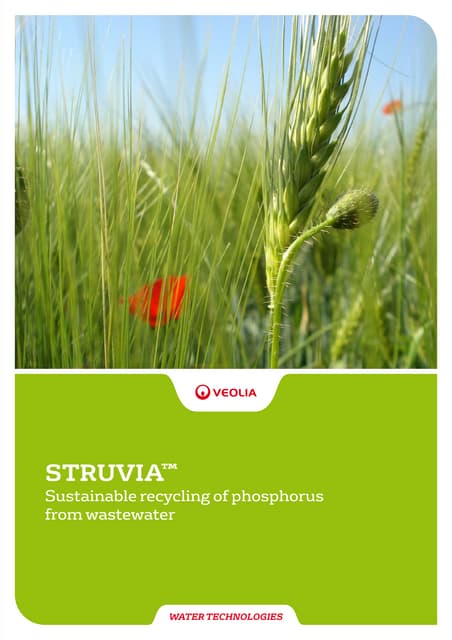 150354_Mkt_Mun_Brochure_STRUVIA_EN_...