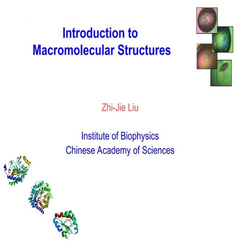 Intro to structural biology | PPTX