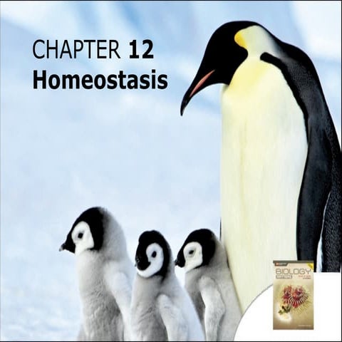 5094 homeostasis 2014