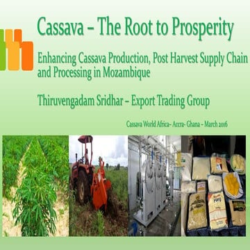 Presentation for world cassava congress