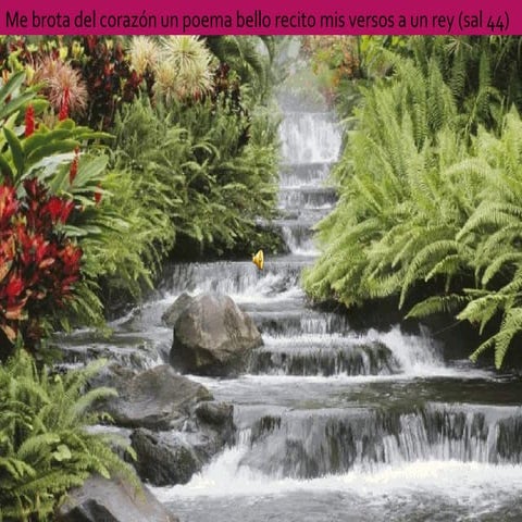 50 POEMAS DE AMOR DEDICADOS AL AMOR