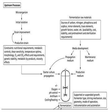 UP and Down Stream Processes in industry | PPTX