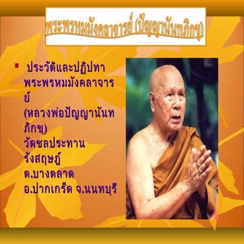 พระพรหมมังคลาจารย์ (ปัญญานันทภิกขุ)51