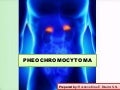 PHEOCHROMOCYTOMA