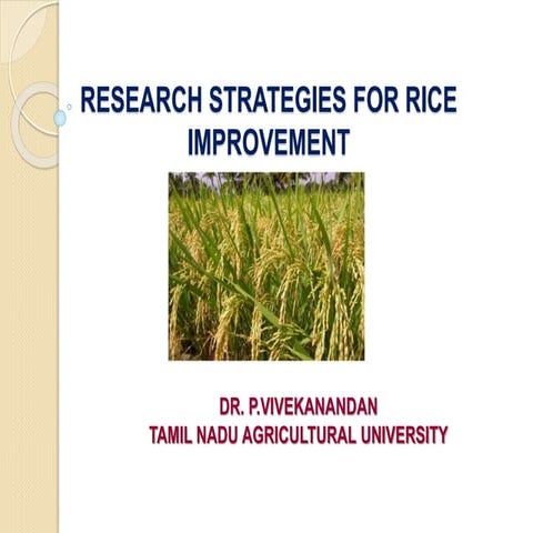 Rice Res. strategies - vivek