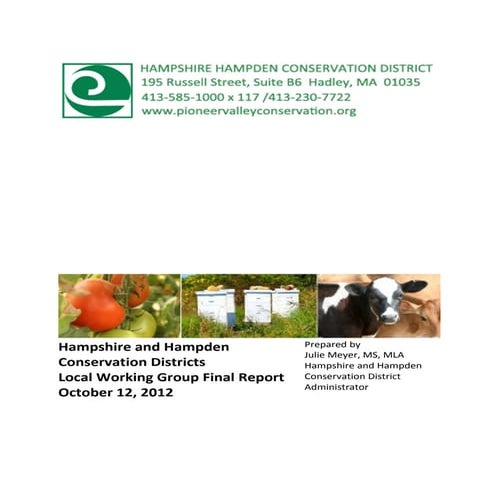 Hampshire_Hampden_CD_Local_Working_Group_Final Report_10-12-2012