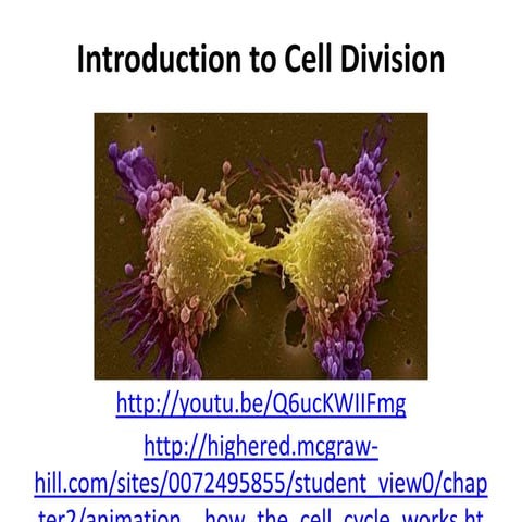 5 10 cell division and cell cycle ppt