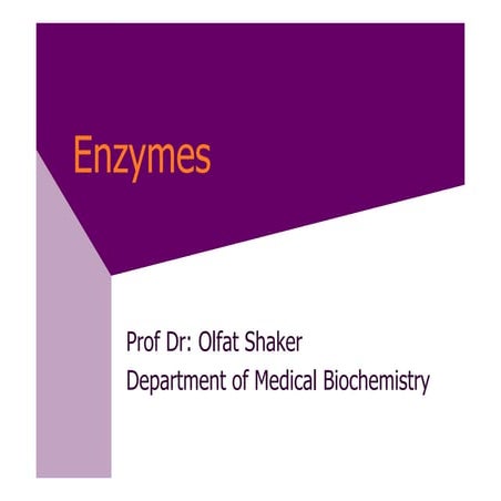 51196538 enzymes chapter 3