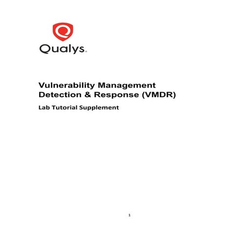 513323774-VMDR-Lab-Tutorial-Supplement-V2.pdf