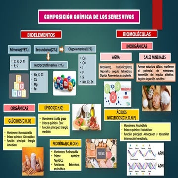 Comprehensive Overview of Bioelements and Biomolecules in Living ...