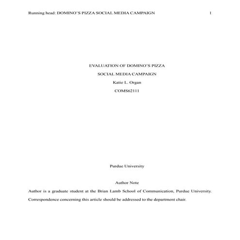 Domino's Pizza Social Media Campaign analysis