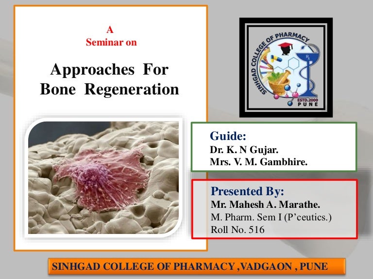bone regeneration
