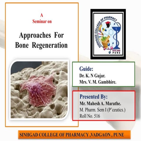 bone regeneration