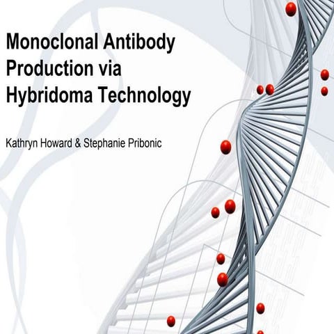 Monoclonal Antibody Production via Hybridoma Technology | PPTX