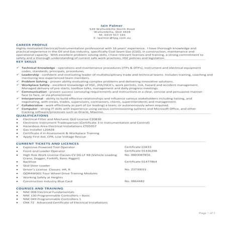 Iain Palmer Resume 29012015