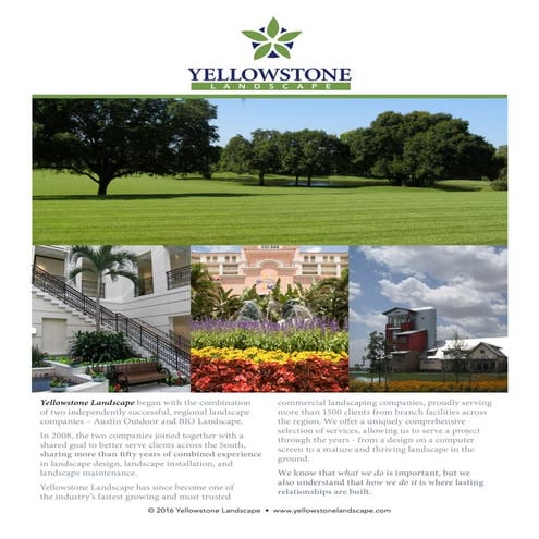 About Yellowstone Landscape