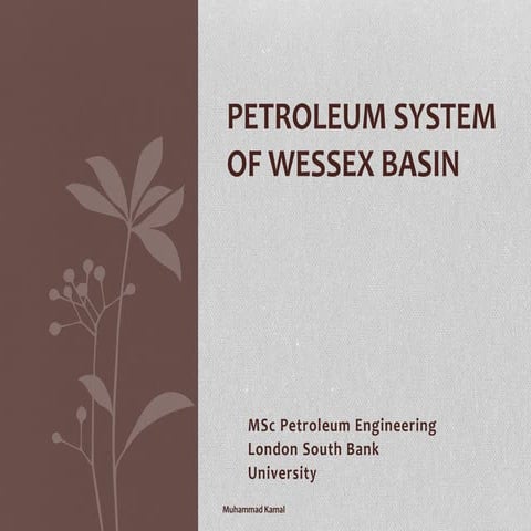 Petroleum System Of Wessex Basin